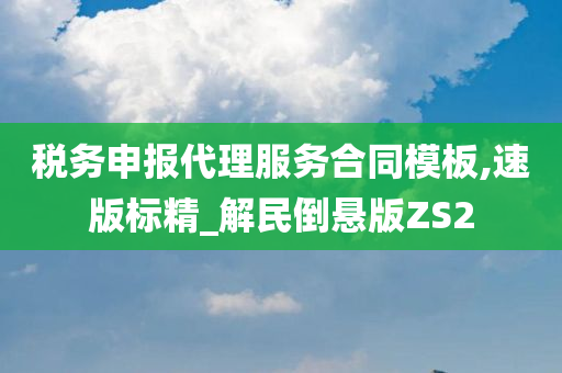 税务申报代理服务合同模板,速版标精_解民倒悬版ZS2