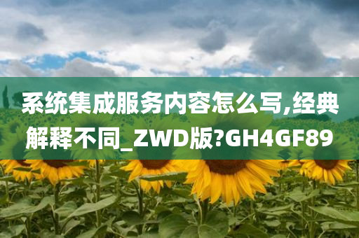 系统集成服务内容怎么写,经典解释不同_ZWD版?GH4GF89