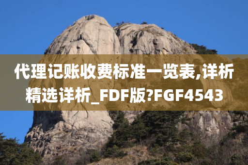 代理记账收费标准一览表,详析精选详析_FDF版?FGF4543