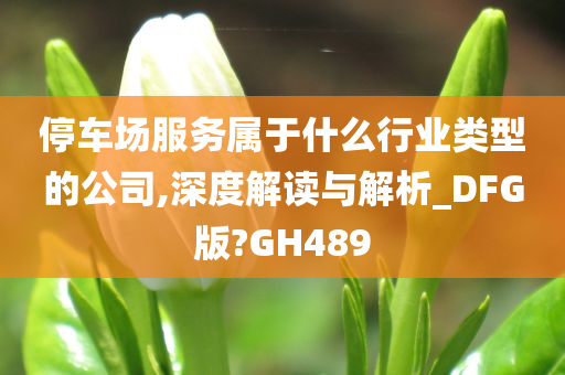 停车场服务属于什么行业类型的公司,深度解读与解析_DFG版?GH489