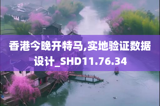 香港今晚开特马,实地验证数据设计_SHD11.76.34