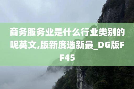 商务服务业是什么行业类别的呢英文,版新度选新最_DG版FF45