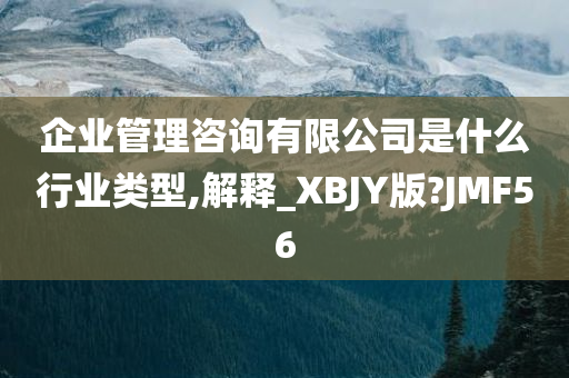 企业管理咨询有限公司是什么行业类型,解释_XBJY版?JMF56