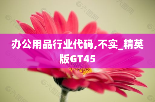 办公用品行业代码,不实_精英版GT45