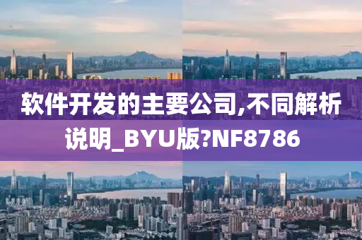 软件开发的主要公司,不同解析说明_BYU版?NF8786