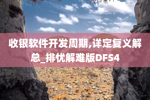 收银软件开发周期,详定复义解总_排忧解难版DFS4