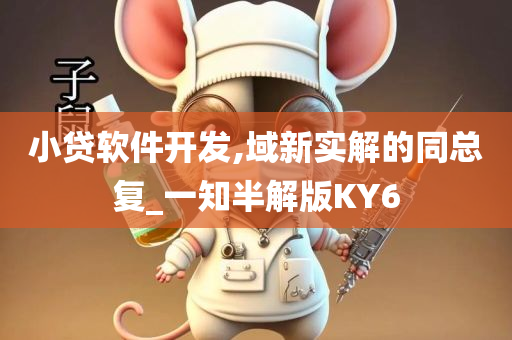 小贷软件开发,域新实解的同总复_一知半解版KY6