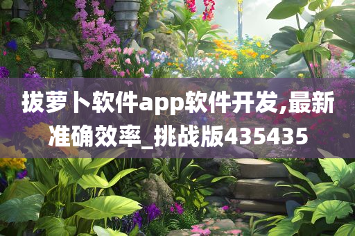 拔萝卜软件app软件开发,最新准确效率_挑战版435435