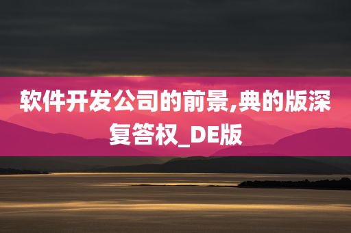 软件开发公司的前景,典的版深复答权_DE版