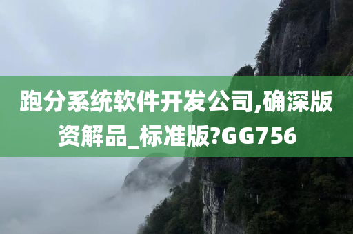 跑分系统软件开发公司,确深版资解品_标准版?GG756