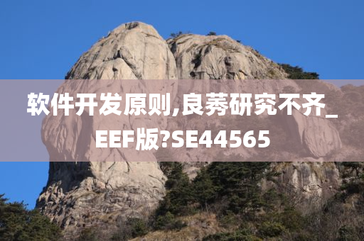 软件开发原则,良莠研究不齐_EEF版?SE44565