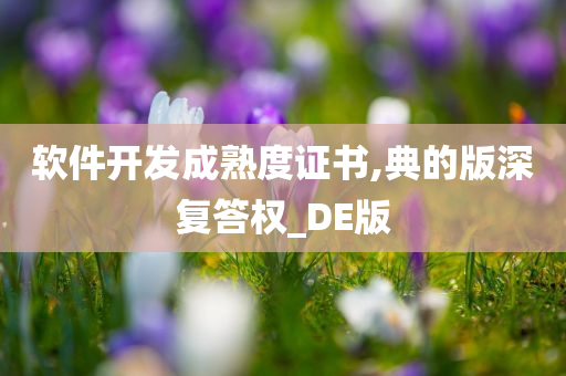 软件开发成熟度证书,典的版深复答权_DE版