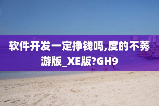 软件开发一定挣钱吗,度的不莠游版_XE版?GH9