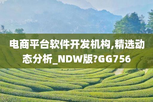 电商平台软件开发机构,精选动态分析_NDW版?GG756