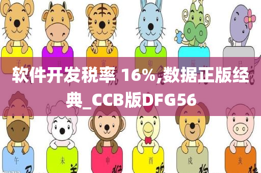 软件开发税率 16%,数据正版经典_CCB版DFG56