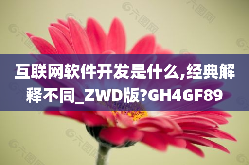 互联网软件开发是什么,经典解释不同_ZWD版?GH4GF89