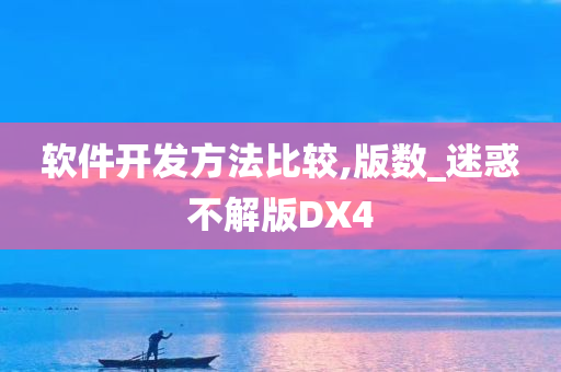 软件开发方法比较,版数_迷惑不解版DX4