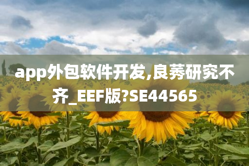 app外包软件开发,良莠研究不齐_EEF版?SE44565