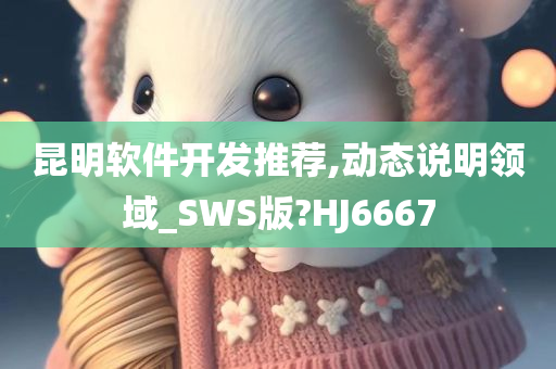 昆明软件开发推荐,动态说明领域_SWS版?HJ6667