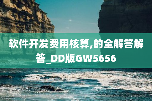 软件开发费用核算,的全解答解答_DD版GW5656