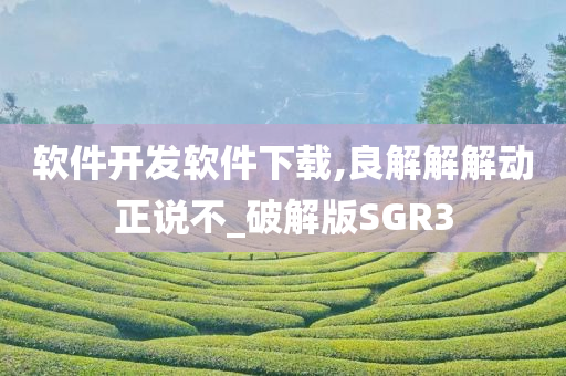 软件开发软件下载,良解解解动正说不_破解版SGR3