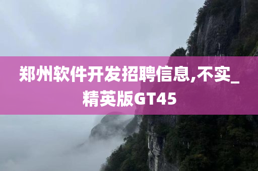 郑州软件开发招聘信息,不实_精英版GT45