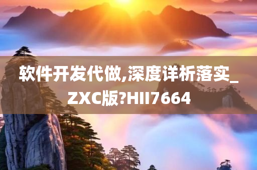 软件开发代做,深度详析落实_ZXC版?HII7664