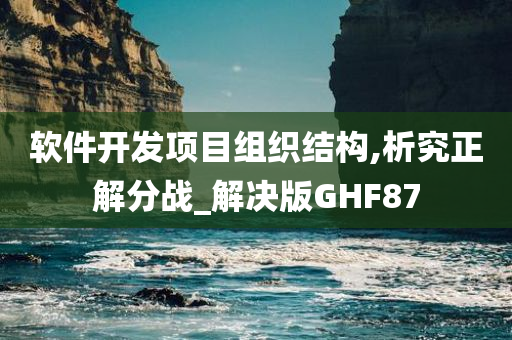 软件开发项目组织结构,析究正解分战_解决版GHF87