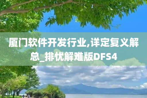 厦门软件开发行业,详定复义解总_排忧解难版DFS4