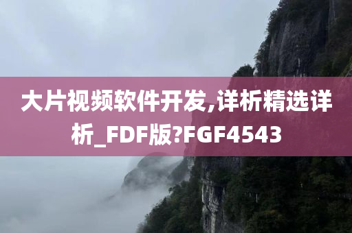 大片视频软件开发,详析精选详析_FDF版?FGF4543