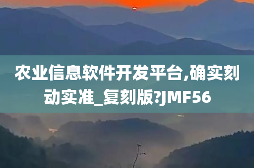 农业信息软件开发平台,确实刻动实准_复刻版?JMF56