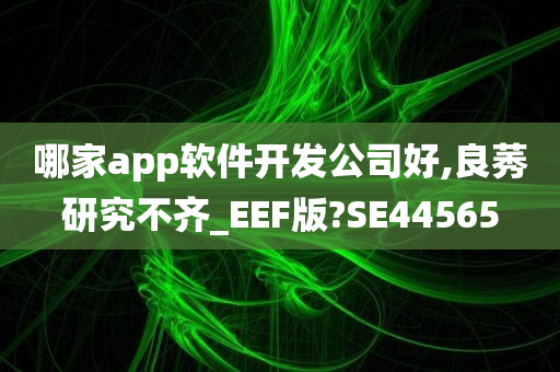 哪家app软件开发公司好,良莠研究不齐_EEF版?SE44565