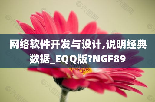 网络软件开发与设计,说明经典数据_EQQ版?NGF89