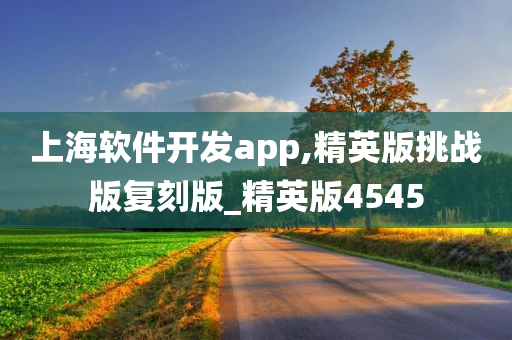 上海软件开发app,精英版挑战版复刻版_精英版4545