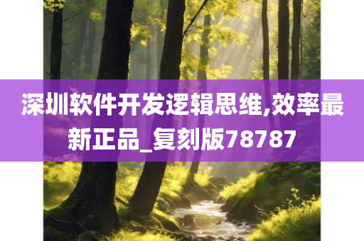 深圳软件开发逻辑思维,效率最新正品_复刻版78787