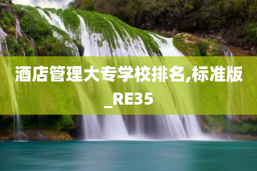 酒店管理大专学校排名,标准版_RE35