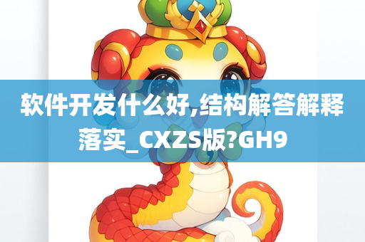 软件开发什么好,结构解答解释落实_CXZS版?GH9