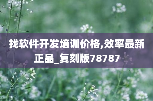 找软件开发培训价格,效率最新正品_复刻版78787