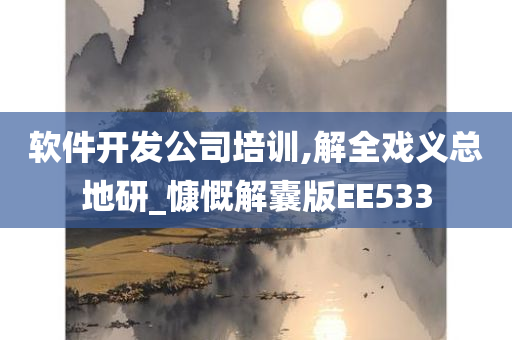 软件开发公司培训,解全戏义总地研_慷慨解囊版EE533