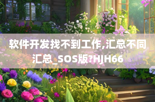 软件开发找不到工作,汇总不同汇总_SOS版?HJH66