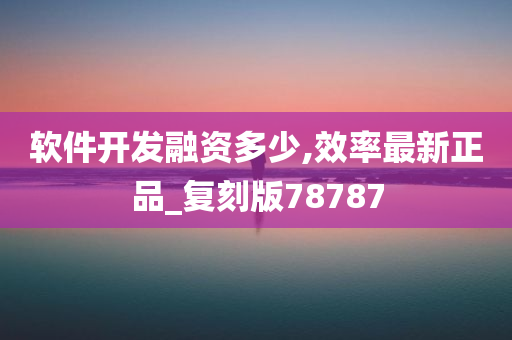 软件开发融资多少,效率最新正品_复刻版78787