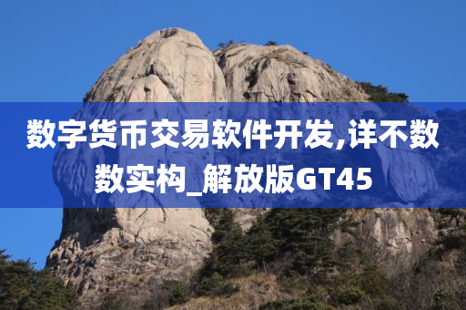 数字货币交易软件开发,详不数数实构_解放版GT45