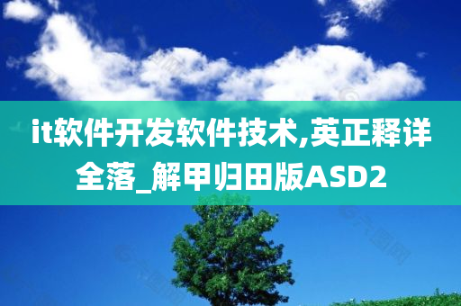 it软件开发软件技术,英正释详全落_解甲归田版ASD2