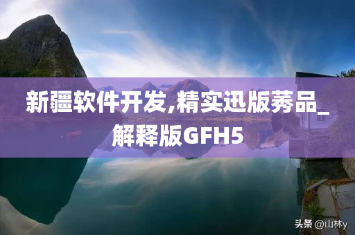 新疆软件开发,精实迅版莠品_解释版GFH5