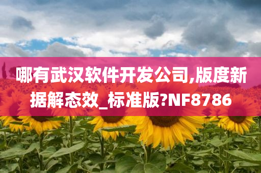 哪有武汉软件开发公司,版度新据解态效_标准版?NF8786