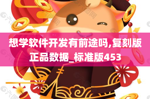 想学软件开发有前途吗,复刻版正品数据_标准版453