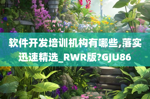 软件开发培训机构有哪些,落实迅速精选_RWR版?GJU86