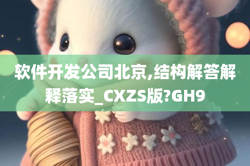 软件开发公司北京,结构解答解释落实_CXZS版?GH9