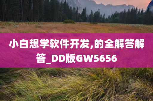 小白想学软件开发,的全解答解答_DD版GW5656