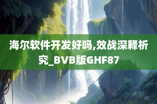 海尔软件开发好吗,效战深释析究_BVB版GHF87